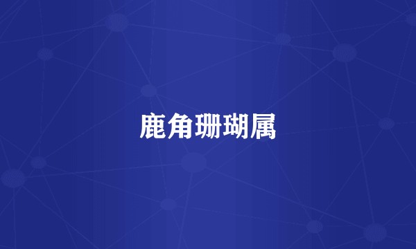 鹿角珊瑚属