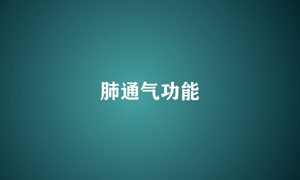 肺通气功能