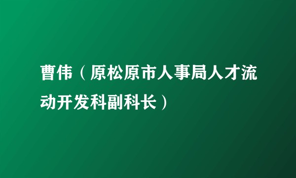 曹伟(原松原市人事局人才流动开发科副科长)