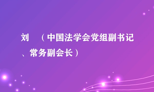 刘飏（中国法学会党组副书记、常务副会长）
