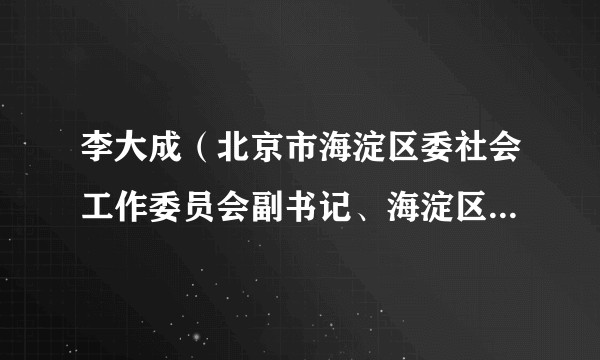 李大成（北京市海淀区委社会工作委员会副书记、海淀区民政局局长）