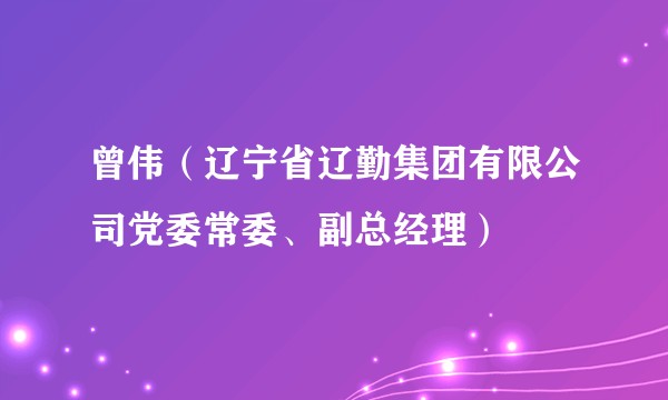 曾伟(辽宁省辽勤集团有限公司党委常委、副总经理)