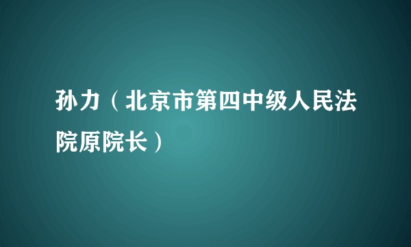 孙力（北京市第四中级人民法院原院长）