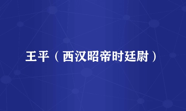 王平(西汉昭帝时廷尉)