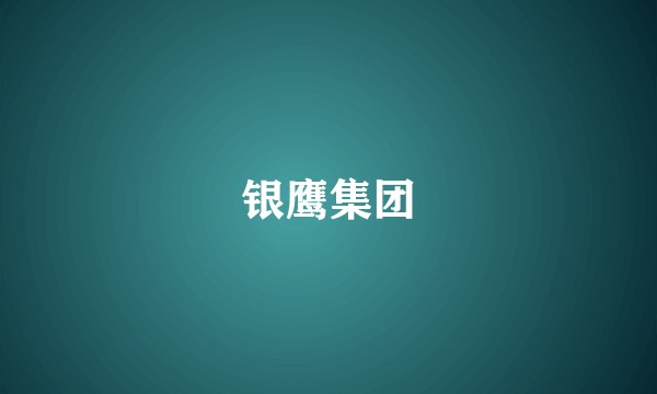 银鹰集团