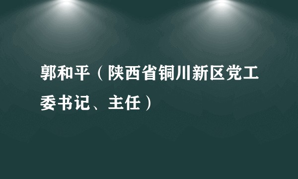 郭和平(陕西省铜川新区党工委书记、主任)
