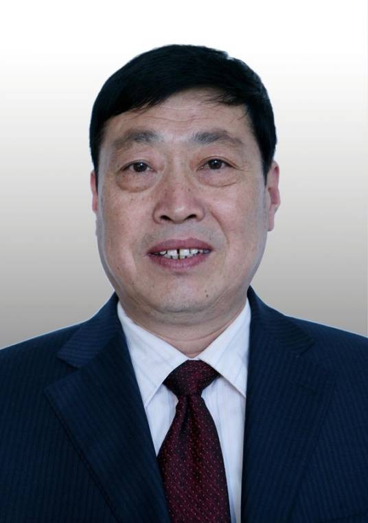 张廷林(政协第四届亳州市委员会常务委员)