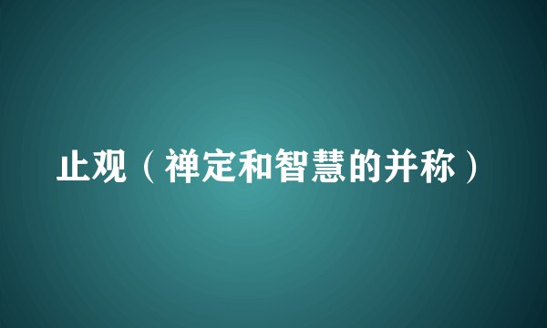 止观（禅定和智慧的并称）