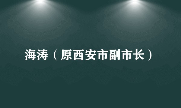 海涛（原西安市副市长）