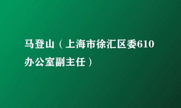 马登山(上海市徐汇区委610办公室副主任)