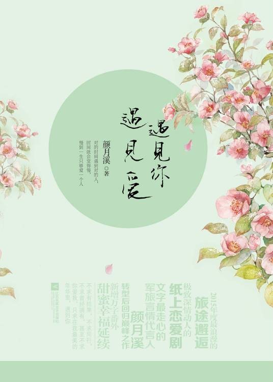 遇见你,遇见爱(2015年江苏凤凰文艺出版社出版的图书)