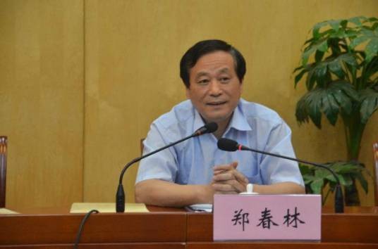 郑春林(安徽省国土资源厅巡视员)