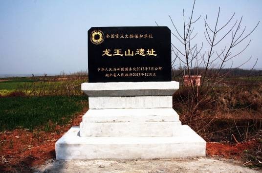 龙王山遗址(第七批全国重点文物保护单位)