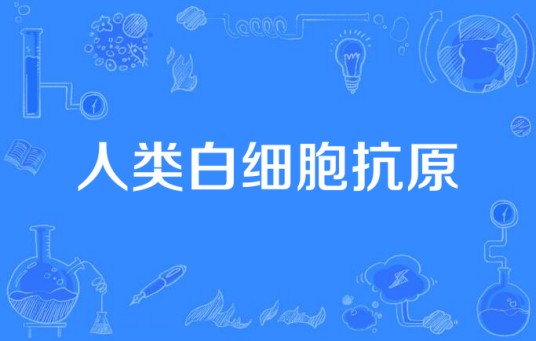 人类白细胞抗原（HLA基因复合体所编码的产物）
