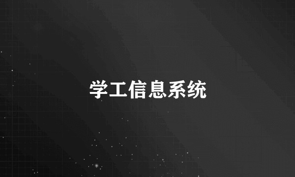 学工信息系统