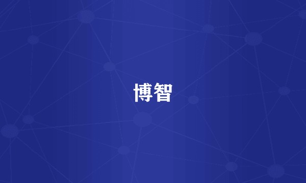 博智