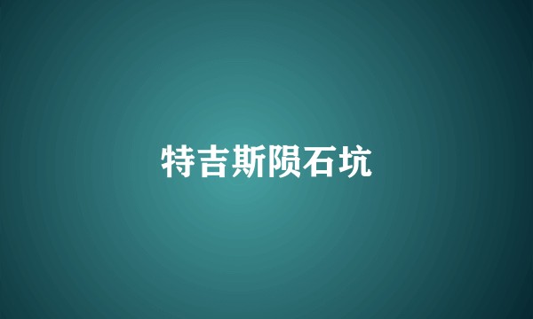 特吉斯陨石坑