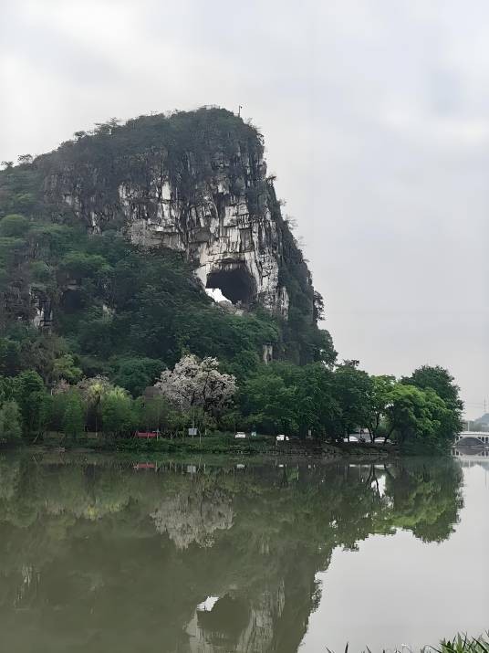 穿山公园
