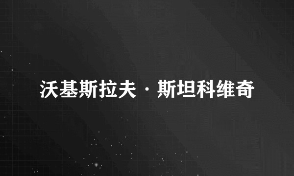 沃基斯拉夫·斯坦科维奇