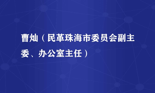 曹灿(民革珠海市委员会副主委、办公室主任)