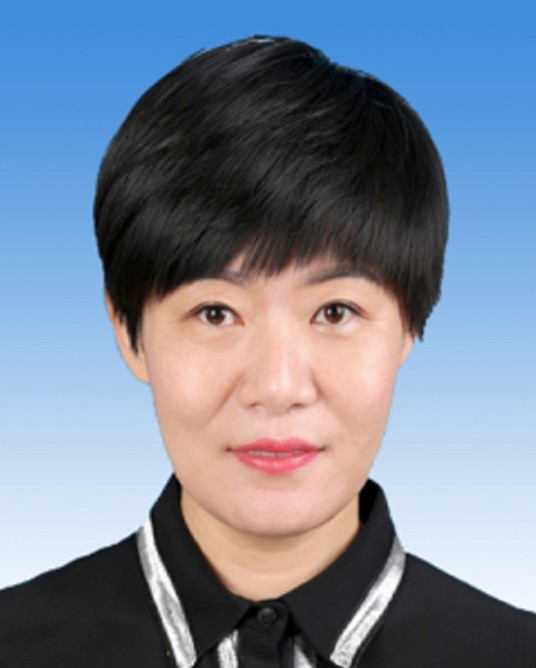 贾宏伟（天津市北辰区人民政府副区长、区红十字会会长、民进北辰区工委主委）