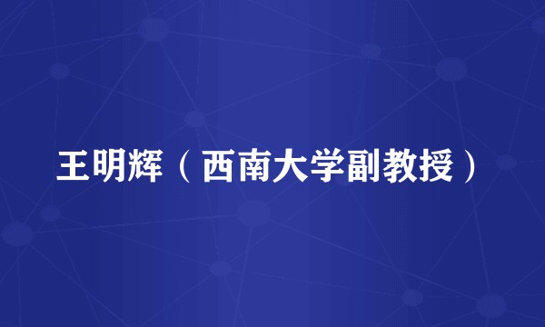 王明辉(西南大学副教授)