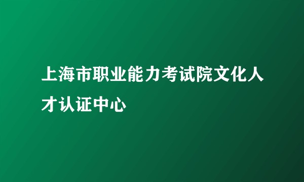 上海市职业能力考试院文化人才认证中心