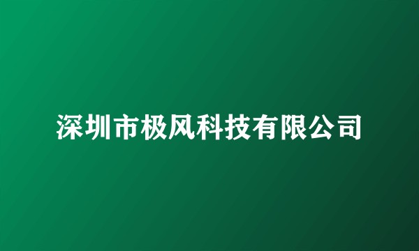 深圳市极风科技有限公司
