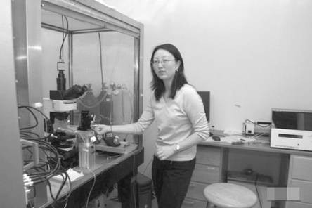 陈路（美国斯坦福大学医学院神经科学副教授）