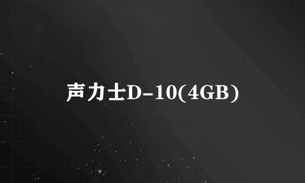 声力士D-10(4GB)