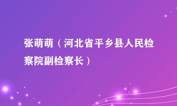 张萌萌（河北省平乡县人民检察院副检察长）