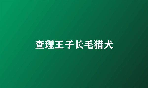 查理王子长毛猎犬