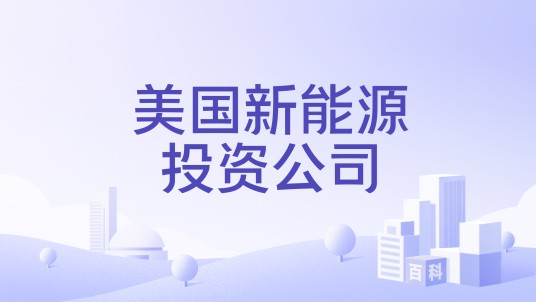 美国新能源投资公司