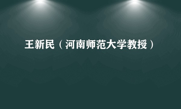 王新民（河南师范大学教授）