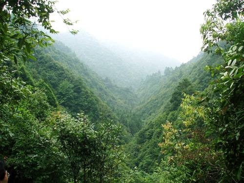 卧龙谷生态休闲旅游风景区