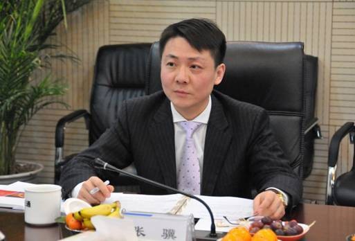 张骥(东方正通科技董事长)