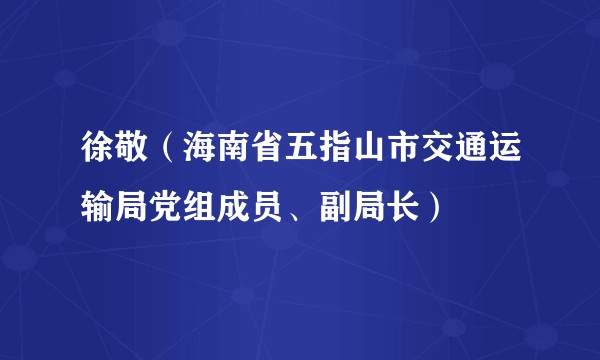 徐敬(海南省五指山市交通运输局党组成员、副局长)