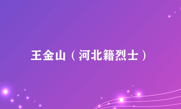 王金山（河北籍烈士）