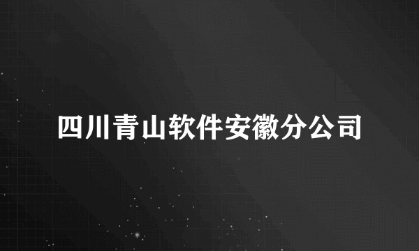 四川青山软件安徽分公司