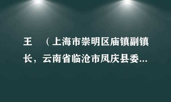 王璠（上海市崇明区庙镇副镇长，云南省临沧市凤庆县委常委、副县长（挂职））