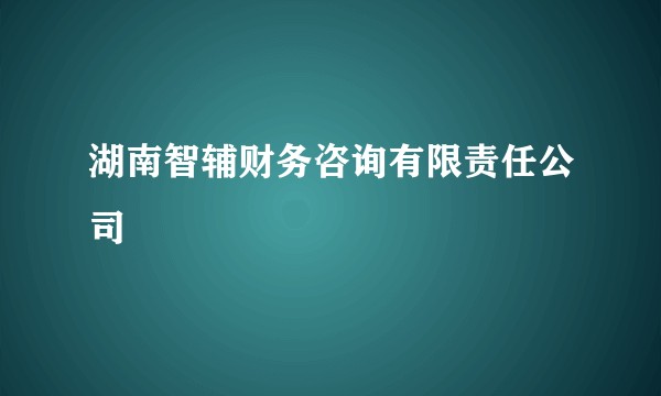 湖南智辅财务咨询有限责任公司