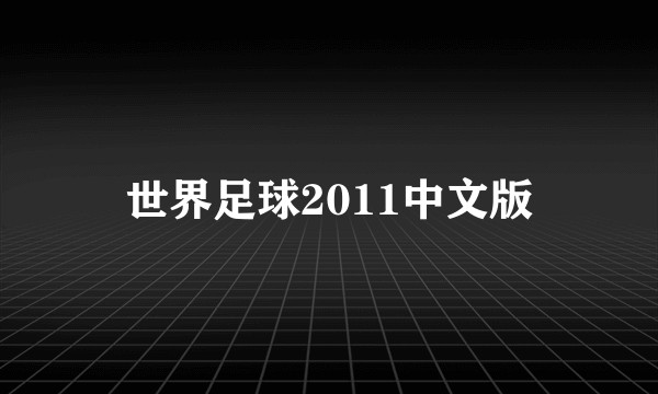 世界足球2011中文版