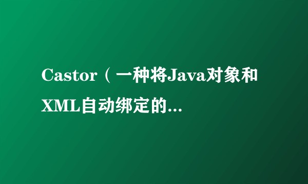 Castor（一种将Java对象和XML自动绑定的开源软件）