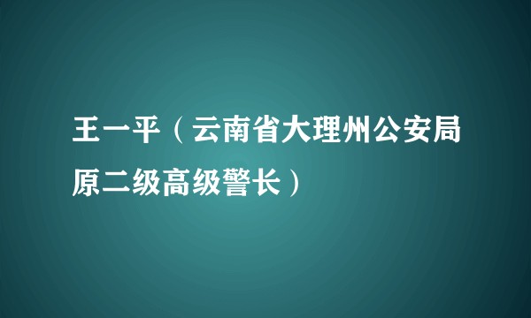 王一平（云南省大理州公安局原二级高级警长）