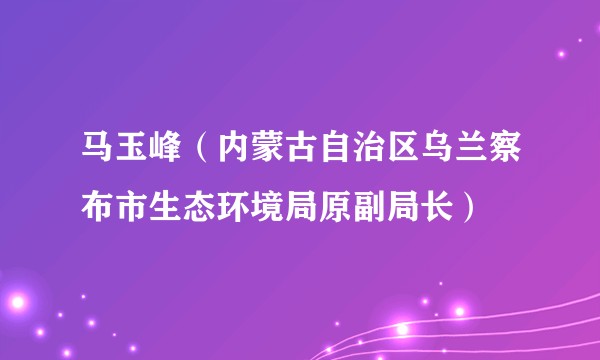 马玉峰(内蒙古自治区乌兰察布市生态环境局原副局长)