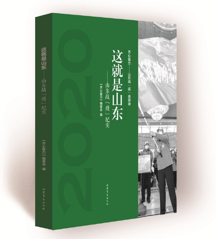 这就是山东（2020年山东文艺出版社出版的图书）