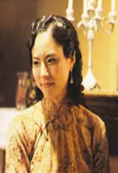 大剧院（2007年黄百鸣主演电视剧）
