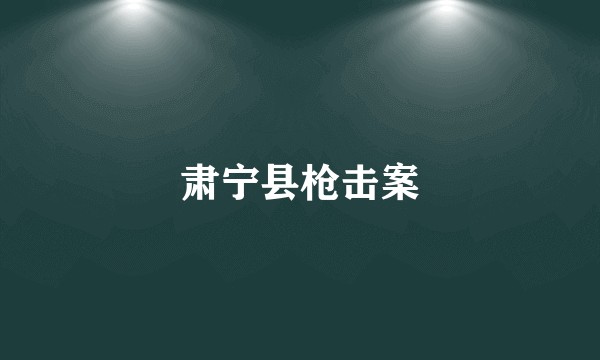肃宁县枪击案