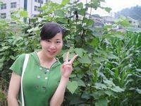 邓丽(湖北省鹤峰县中营乡高原小学副校长)