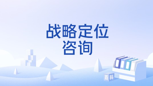 战略定位咨询